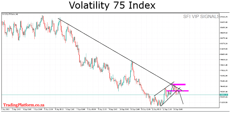 Volatility 75 Index South Africa